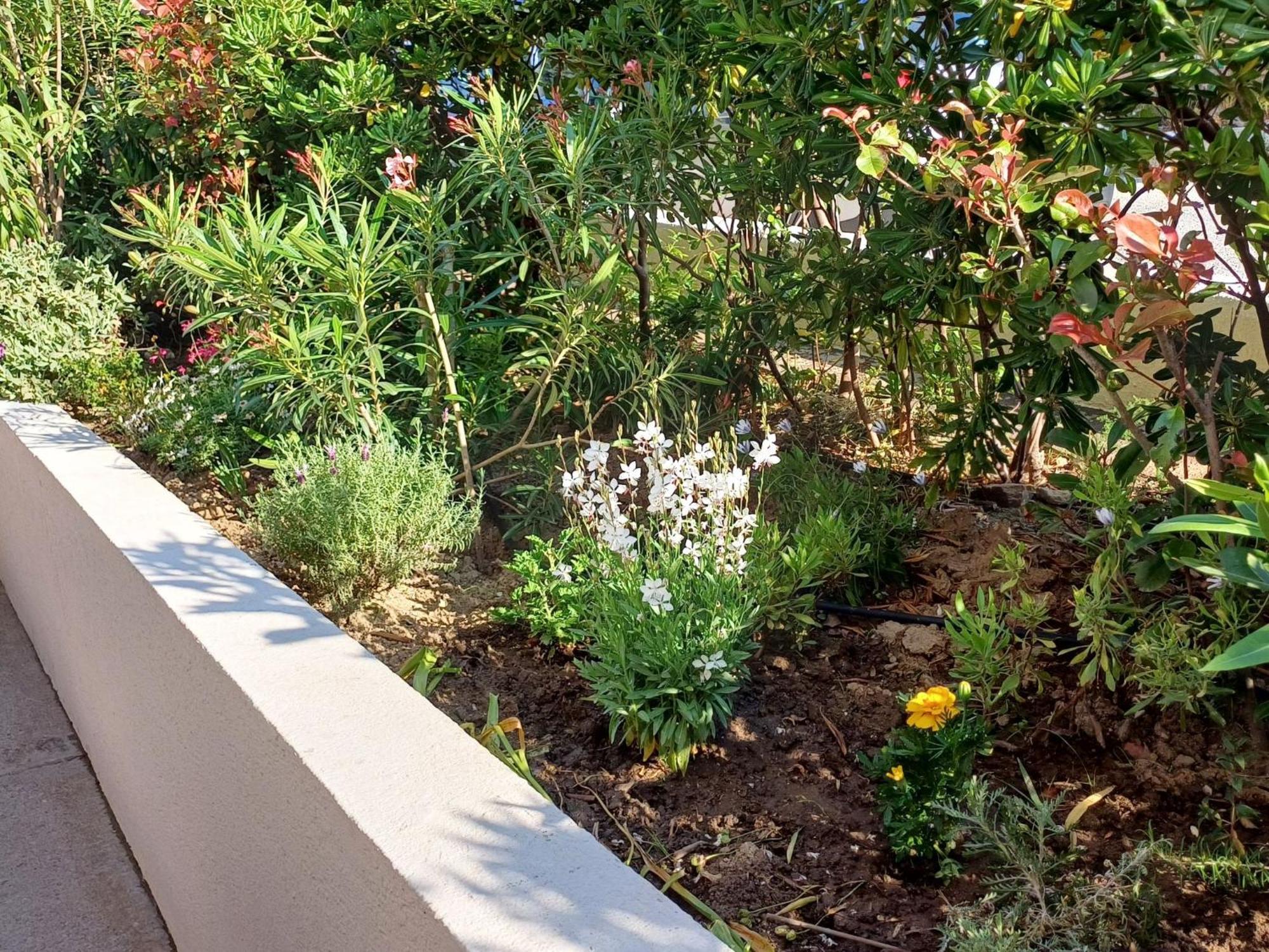 Studio Antares-1 By Interhome Cavalaire-sur-Mer Kültér fotó